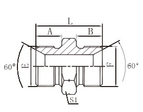 1B British pipe external thread 60°inner cone or hexagonal end face with combined gasket seal Main Image